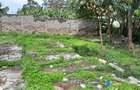 2.25 ac Commercial Land at Rongai - 7