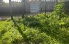 Residential Land at Kandisi - 7