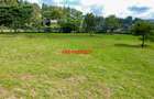 0.1 ha Residential Land at Tulivu Estate - 9