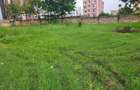 0.25 ac Land at Ls224 - 1