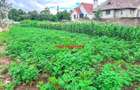 0.1 ha Residential Land at Muguga - 1