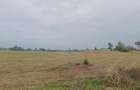 0.25 ac Land at Thika Greens Golf Estate - 7