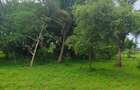 8 ac Land at Vipingo - 1