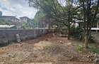 0.45 ac Land at Diani Close - 5