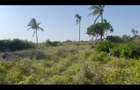 Land in Watamu - 4