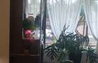 2 Bed Apartment with Staff Quarters at Raphta Rd - 2
