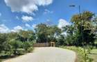 Land in Kilifi County - 11