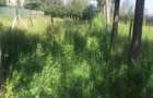 0.113 ac Residential Land in Ongata Rongai - 9