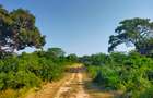 Land in Vipingo - 14