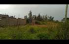 0.25 ac Land at Mugutha Ihigaini - 3