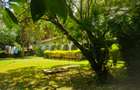 4 Bed Townhouse with Garden at Old Muthaiga - 7