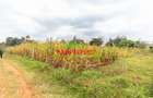 0.05 ha Residential Land in Kikuyu Town - 8