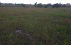 0.25 ac Land in Ongata Rongai - 4