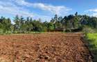 6,000 m² Land in Limuru - 7