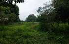 Commercial Land at Redhill Road - 11