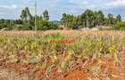 0.05 ha Residential Land in Kamangu - 16