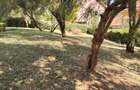 4 Bed House with En Suite at Bomas Of Kenya - 4