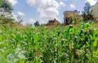 800 m² Residential Land at Nairobi Ndogo Estate - 9