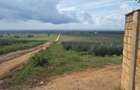 Land in Vipingo - 8