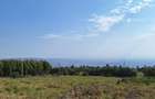 0.125 ac Residential Land at Thigio - 10
