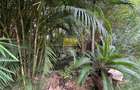 Land in Kilimani - 3
