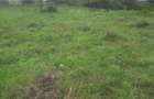 0.113 ac Land in Ngong - 4