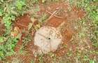 500 m² Land at Thogoto Teachers College - 3