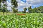 7.5 ac Land in Kikuyu Town - 1