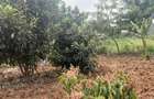 0.5 ac Land at Ndeiya Kiroe Limuru - 4