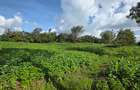 Commercial Property with Service Charge Included at Mutuini Primary - 8