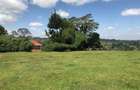 21 ac Land in Tigoni - 5