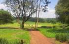 5,000 ft² Land in Kiambu Road - 12