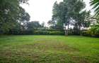 1.25 ac Land in Lavington - 5