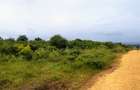 Land in Vipingo - 16
