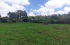 0.5 ac Land in Kikuyu Town - 4