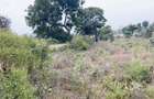 0.141 ha Land in Vipingo - 4