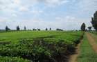 Land in Kiambu Town - 10