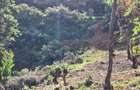 3 ac Land at Limuru Road - 6