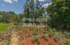 4.8 ac Land at Riara Ridge - 8