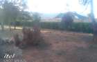 Residential Land in Ndeiya - 9