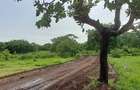 Land in Vipingo - 4