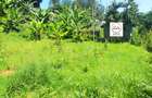 0.125 ac Land at Kanunga - Banana - 4