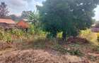 0.25 ac Land at Kabiria Rd - 5