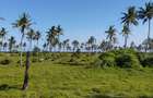 Land in Kilifi - 15