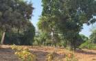 Land in Mtwapa - 18