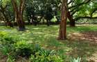 4 Bed House with En Suite in Runda - 20