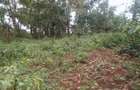 Land at Muthiga - 3