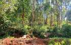 1 ac Land at Muchatha - 3