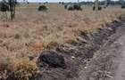 4 ac Land in Kiserian - 4
