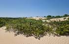 0.125 ac Land in Malindi - 7